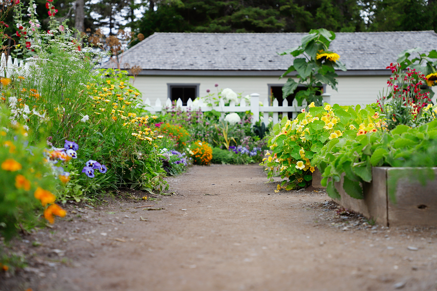 Le potager et la réserve